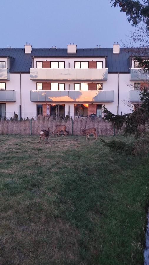 Luxholiday Grzybowo  Zewnętrze zdjęcie